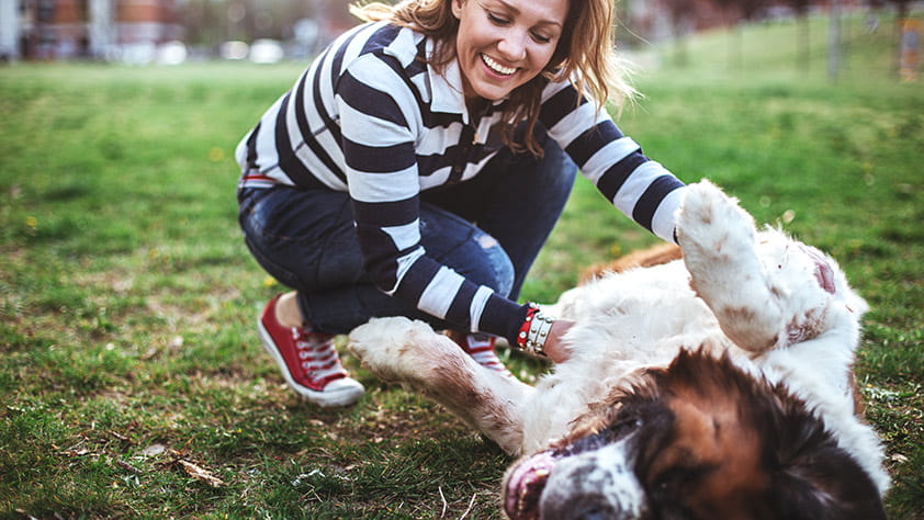 Woman Laughing and Enjoying Playing with Dog in Park