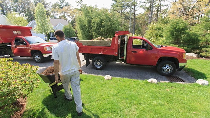 Landscaper moving mulch from a red truck