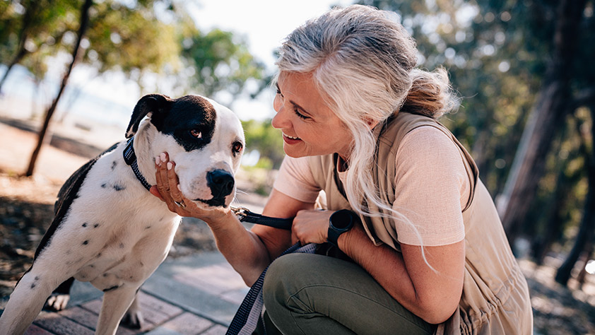 Happy senior woman petting a dog during her morning walk outside