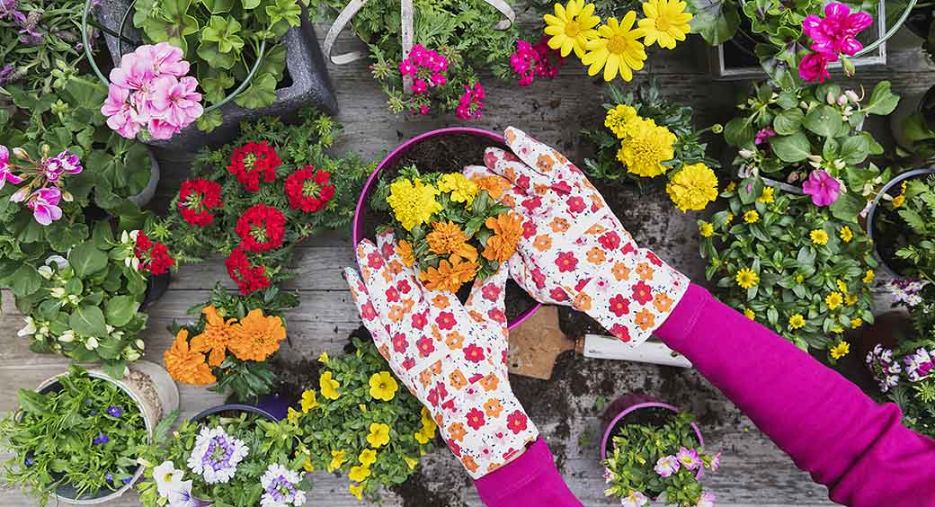 Magazines for Quarantine Hobbies - Woman Wearing Colorful Garden Glove Potting a Plant