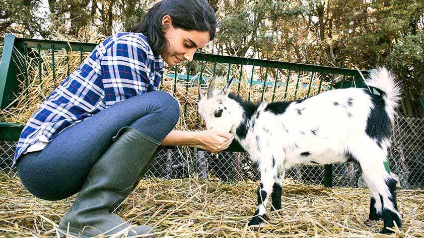 10 Unique Vacations Your Have to Take - Woman Feeding a Goat on a Farm