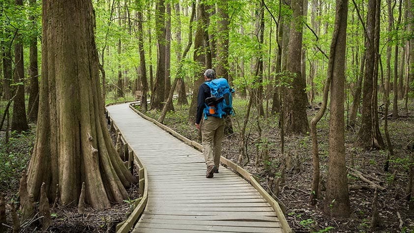 Man with a blue backpack hiking through a forest
