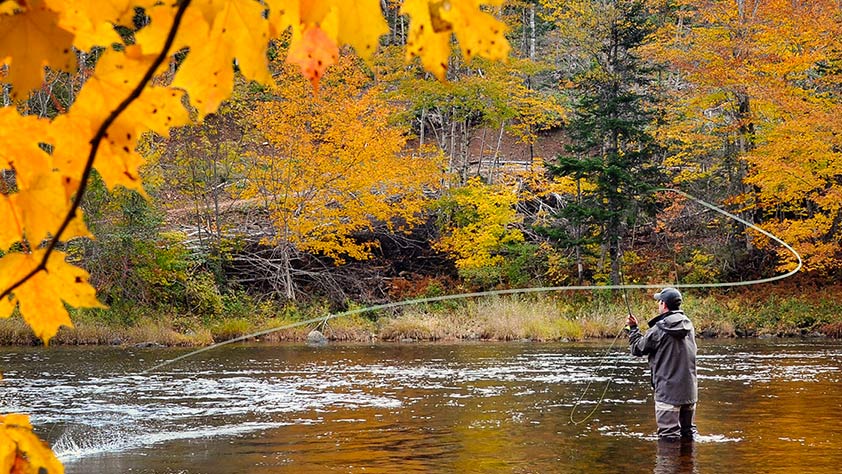 5 Fall Foliage Vacations for Active Leaf Peepers - Fly Fishing in Shenandoah National Park, Virginia