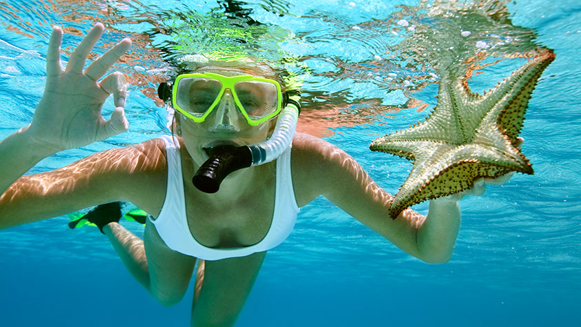 Woman snorkeling with a starfish, showing the OK hand gesture underwater