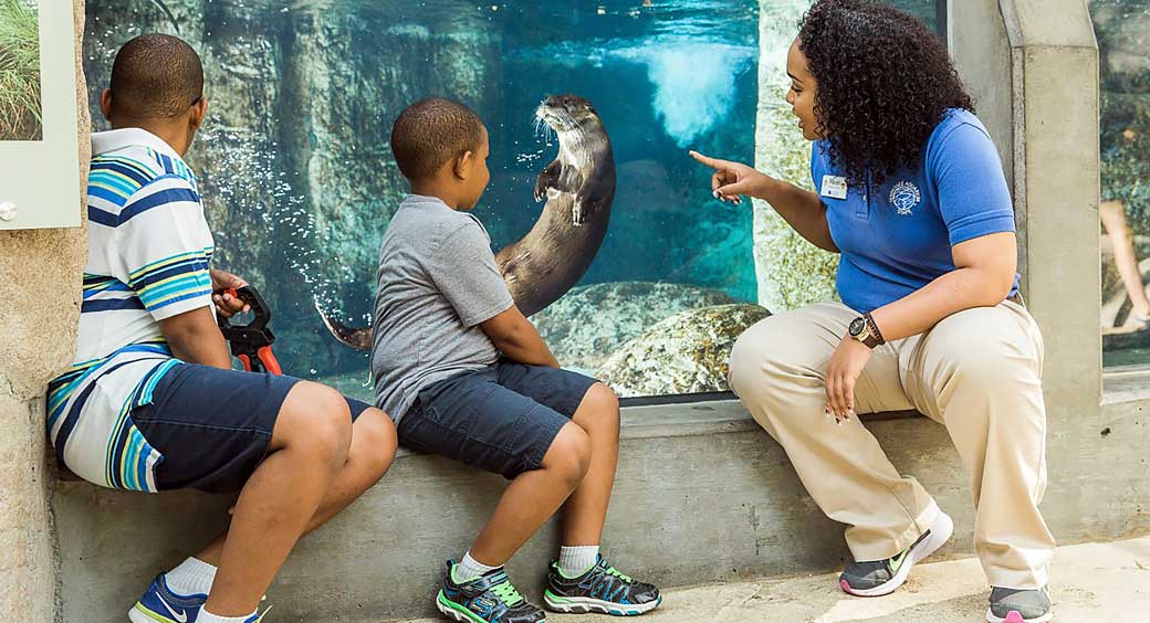 Tennessee Aquarium, Courtesy of Chattanooga Tourism