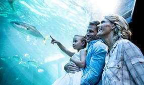 Couple Holding Daughter Pointing at Fish at an Aquarium