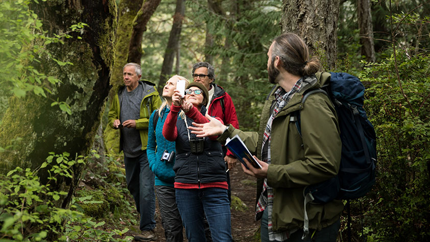 Trail guide leading active senior hikers in woods