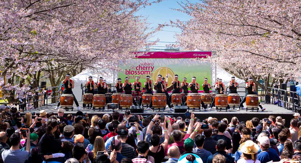 Cherry Blossom Festivals - Subaru Cherry Blossom Festival