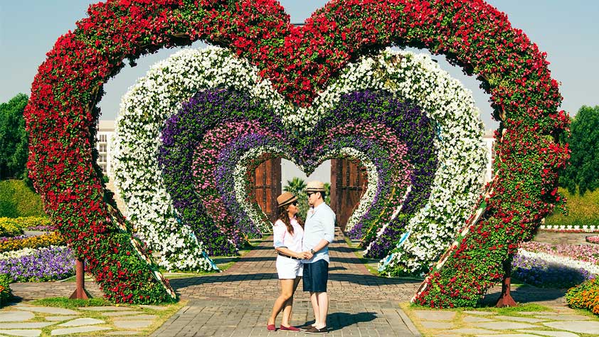 Couple holding hands while standing under a heart-shaped sculpture made of live flowers