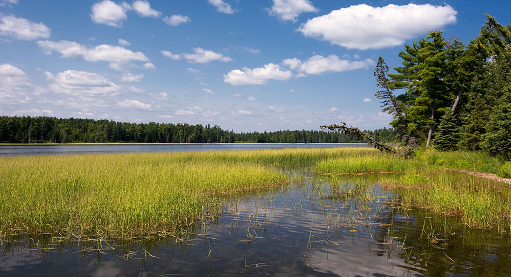 Appalachian Trail - State Parks Offer National Park Fun—for Less