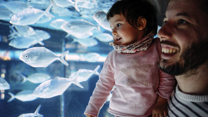 Father and Daughter Looking at Fish Swimming in an Aquarium
