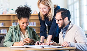 Diverse group of adults working