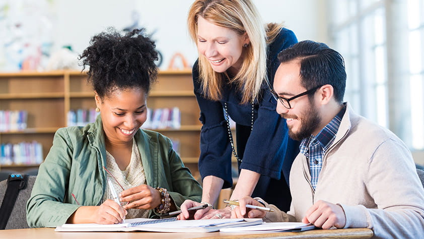 Diverse group of adults working