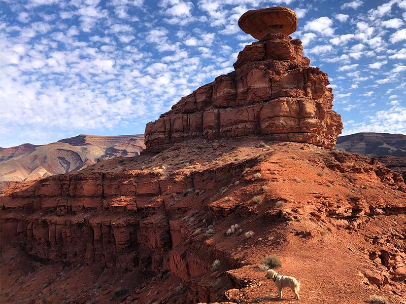 Runner Up: Mexican Hat Rock in Mexican Hat, UT | Submitted by: Morgan C.