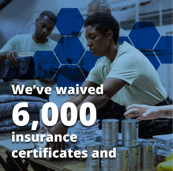 Teachers working together on a project