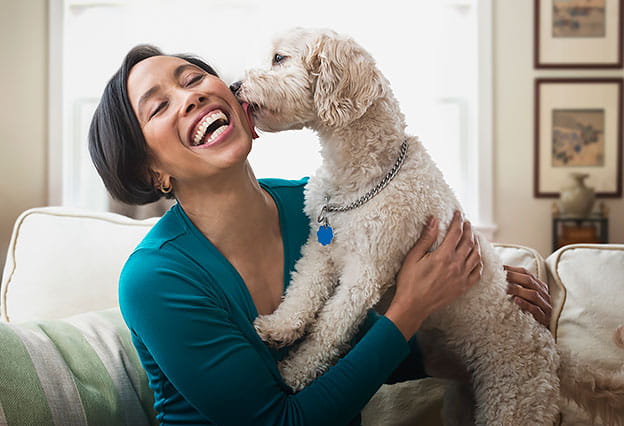 Pet Insurance: Woman smiling while holding her dog who is licking her cheek