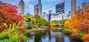 Central Park, New York City - NEA Travel Program