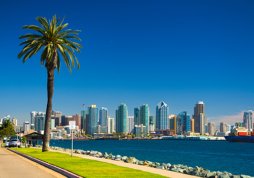 Horizonte de San Diego con palmera, bahía y cielo azul
