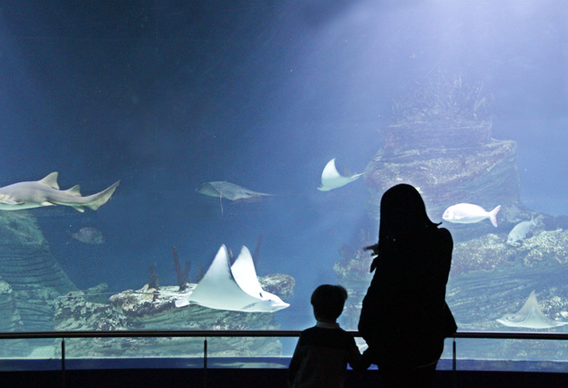 Mother and son at aquarium